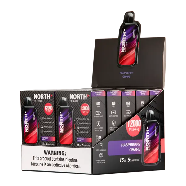 BUY 1 GET 1 FREE Raspberry Grape North FT12000 | Vape Amazon India North