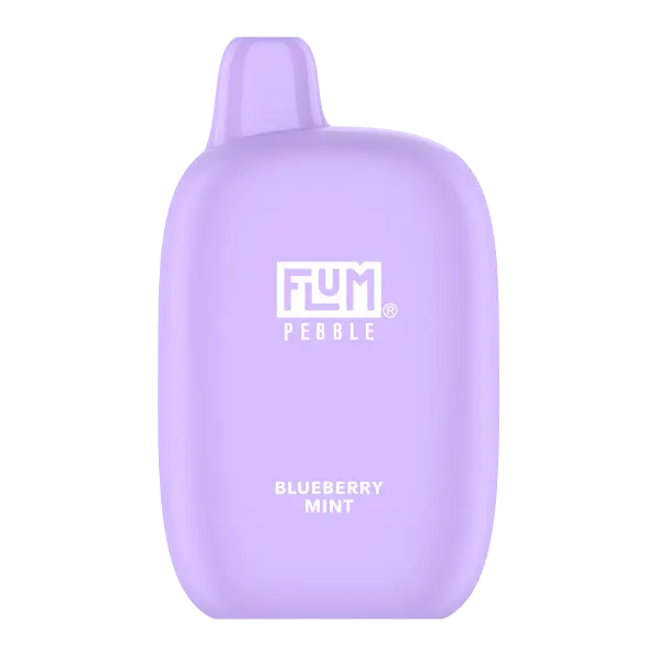 BUY 1 GET 1 FREE Blueberry Mint FLUM Pebble | Vape Amazon India